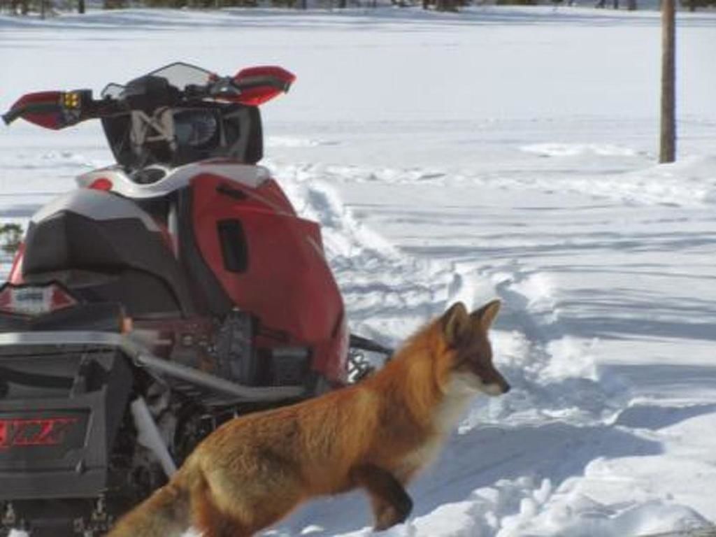 Дома для отпуска Holiday Home Kajuutta Юллясярви-37